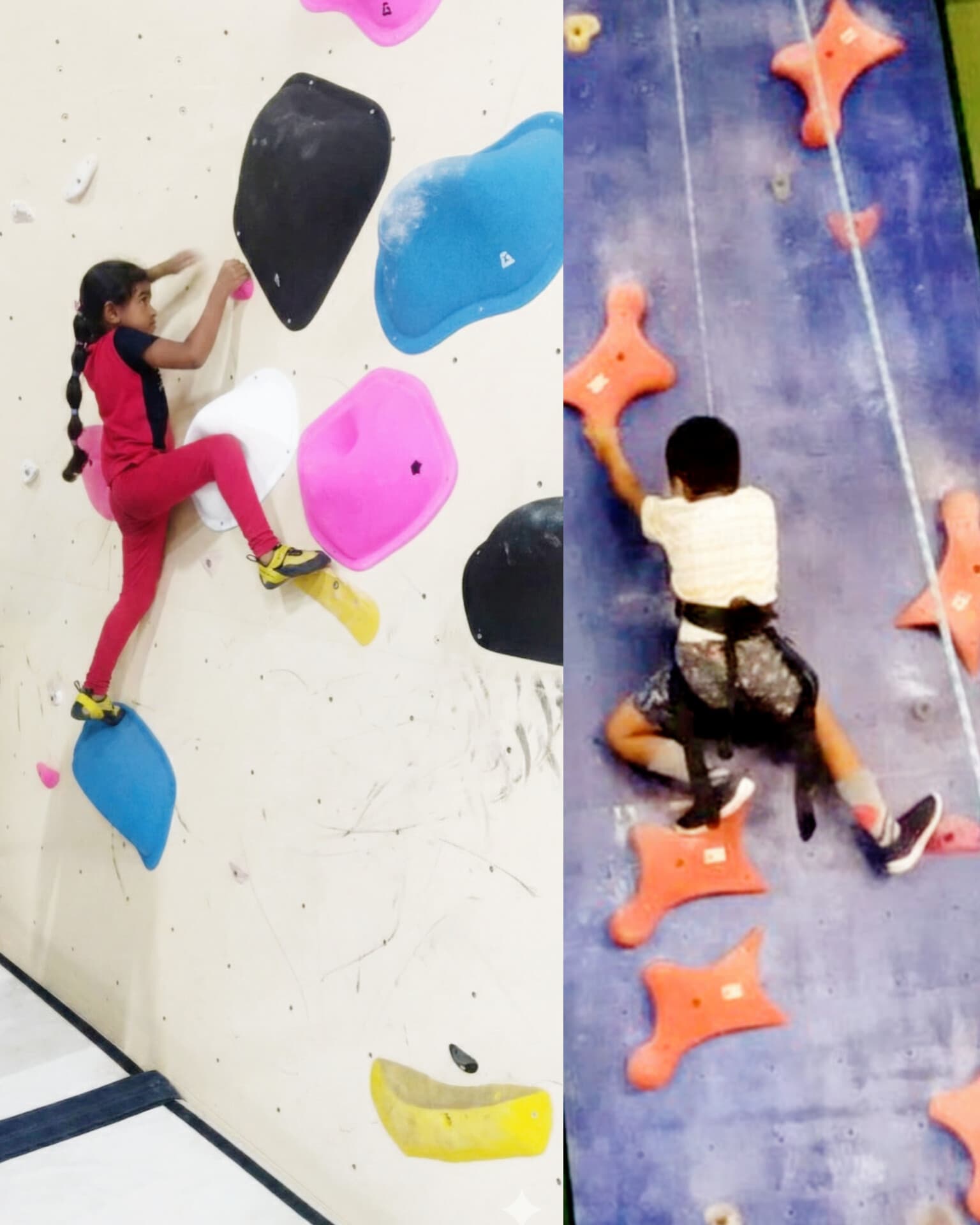 Illustration of New Bee